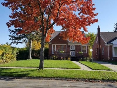 5803a00c-7129-4c6f-9d31-e13f88be7dfc